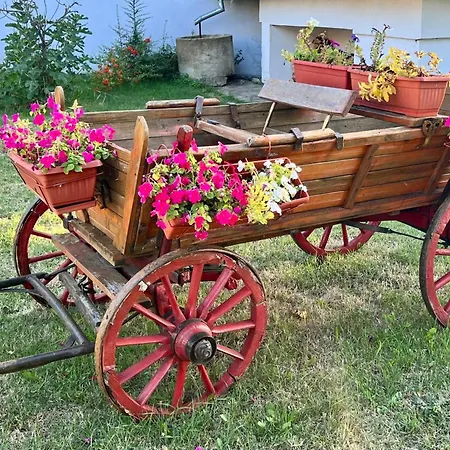 Angliiska Villa Arbanasi