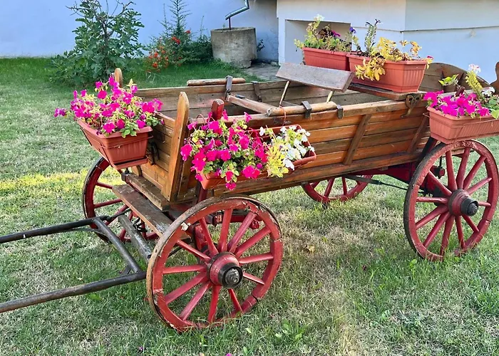 Angliiska ヴィラ アルバナシ